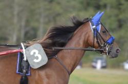 莎拉波娃重返赛场，败北首场状态出色，湖人观众沸腾！赛场气氛高涨